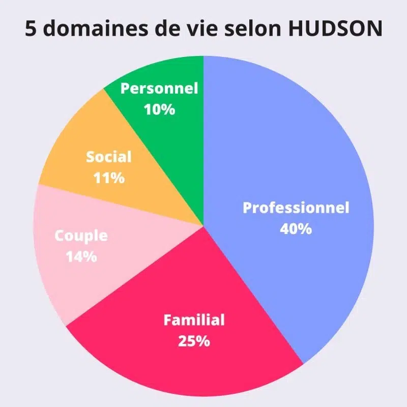 Les 5 domaines de vie de Hudson -PRISM EVOLUTION